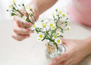 2025年最新版！インプラスと二重窓の効果的な導入法と選び方完全ガイド