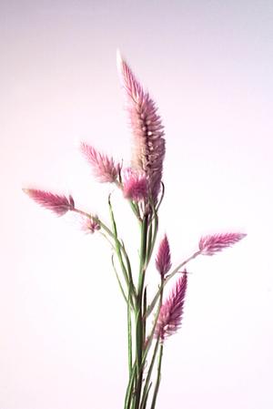 埼玉県さいたま市にあるタカラスタンダードのショールーム：最新設備と豊富な展示品でお客様の理想の住空間を実現